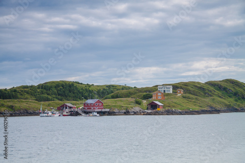 Horizontal shot of houses and small harbor on island in Northern