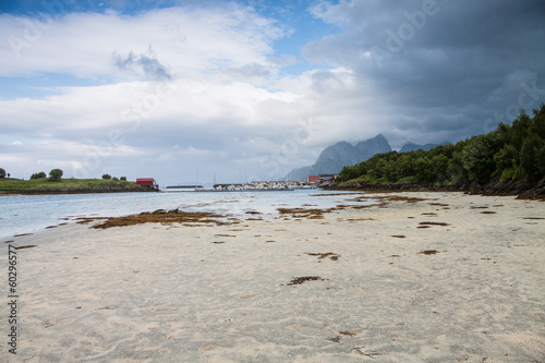 Carta da parati Norwegian seaside during lowtide