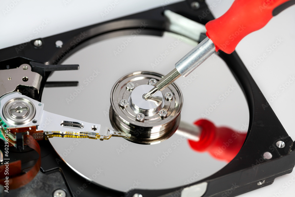 Opened hard disk and screwdriver Opened hard disk and screwdriver