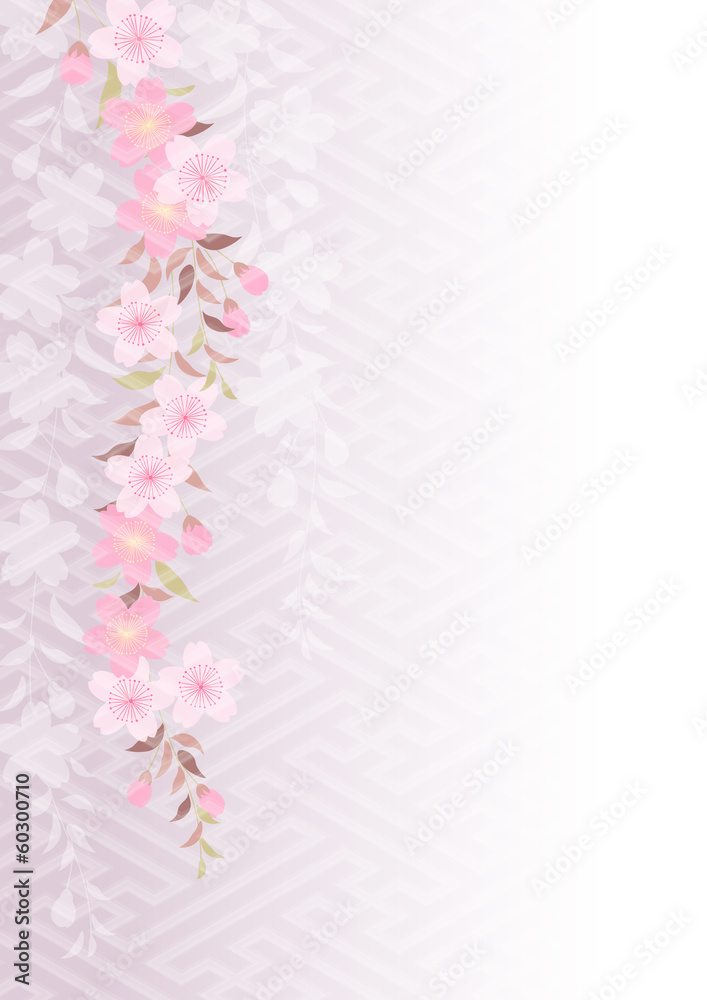 Fototapeta premium はんなり枝垂れざくら