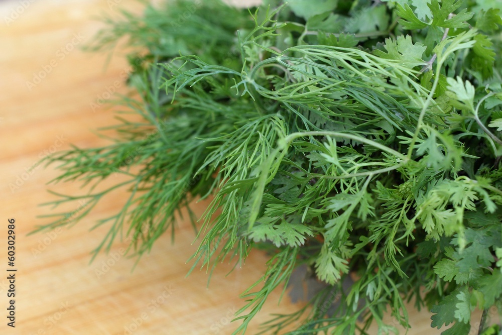 Coriander Coriander