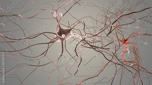 Obraz na plátně neuron cell