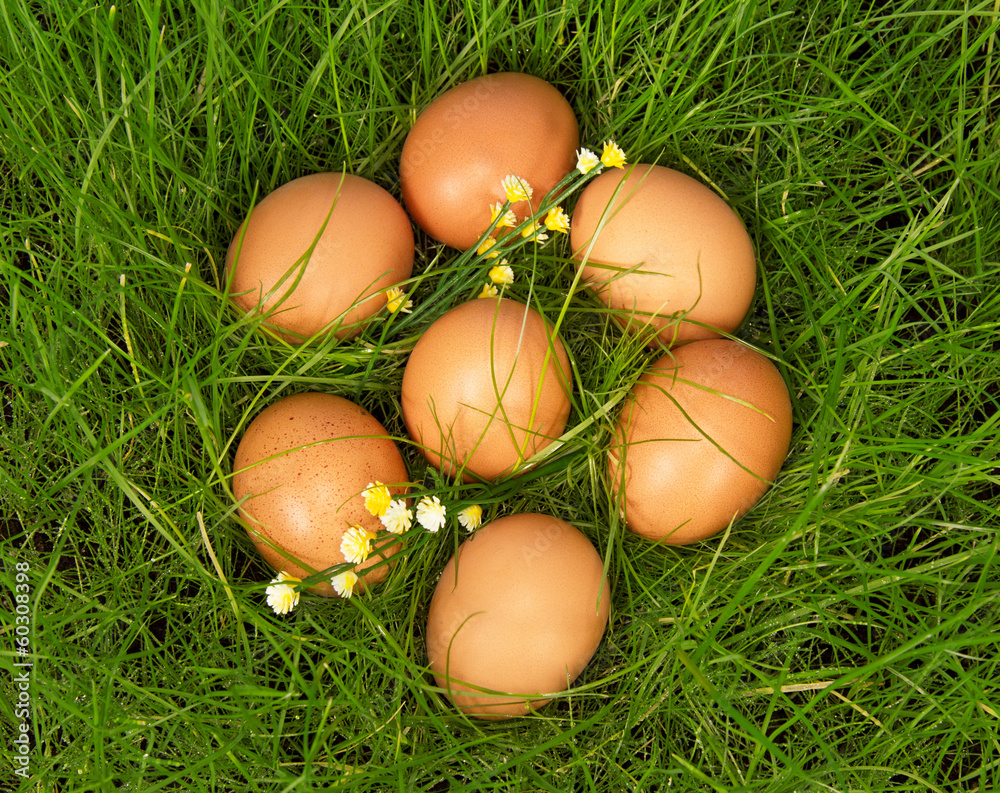 Yellow eggs lie on green grass Yellow eggs lie on green grass