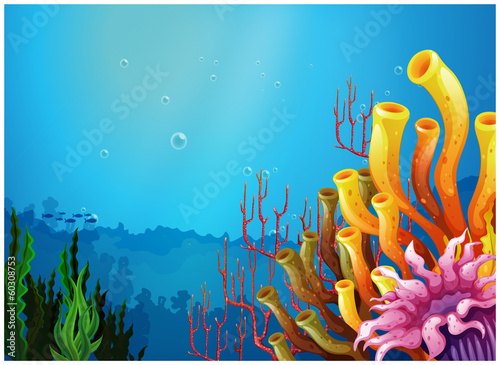 A beautiful view under the sea