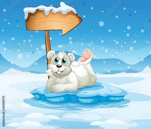 An iceberg with a bear and an arrow