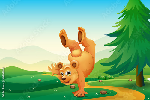 A bear playing with the stumps