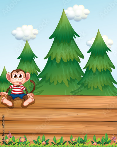 A monkey sitting above the empty wooden boards in front of the p