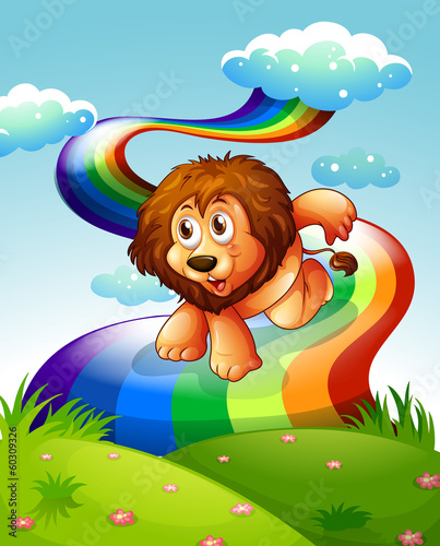 A lion at the hilltop with a rainbow