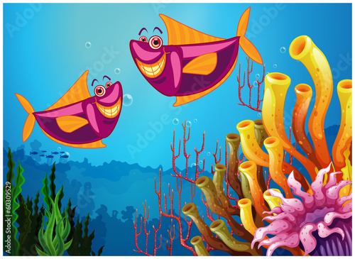 Fishes under the sea near the colorful corals
