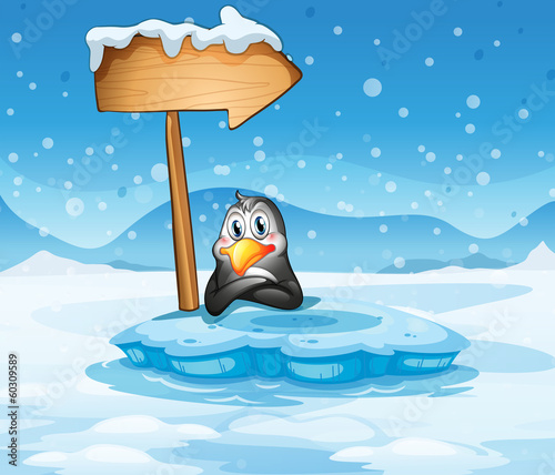 An iceberg with a penguin and an arrow
