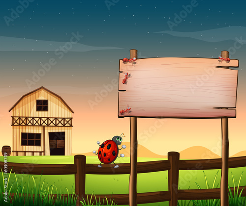 An empty wooden board at the farm with ants and a bug