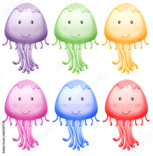 Six colorful jellies