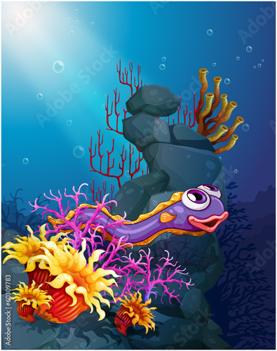 An eel under the sea with coral reefs