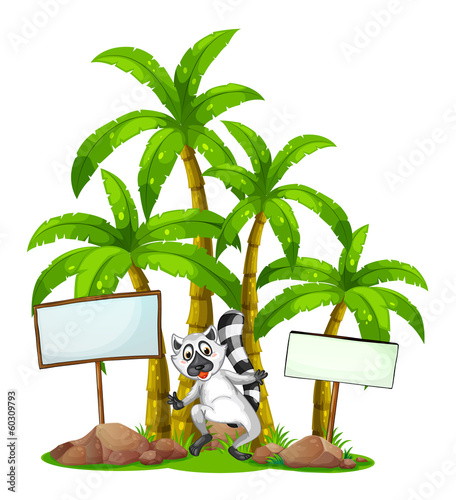 A lemur in the middle of the empty signboards in front of the pa