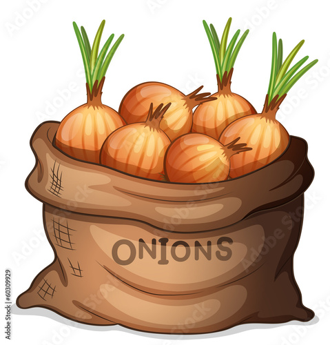 A sack of onion
