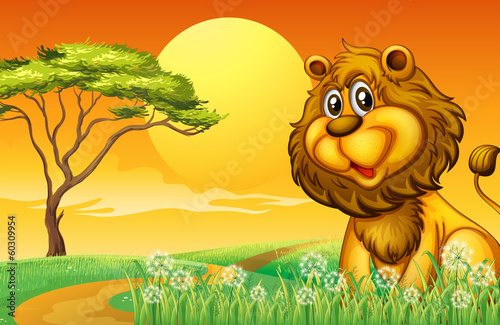 Fototapeta Naklejka Na Ścianę i Meble -  A lion at the hilltop