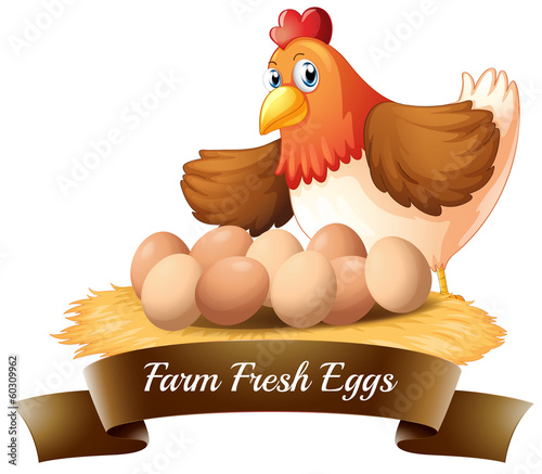 Fresh eggs from the farm
