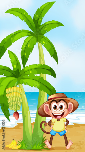 A smiling monkey at the beach with bananas © GraphicsRF