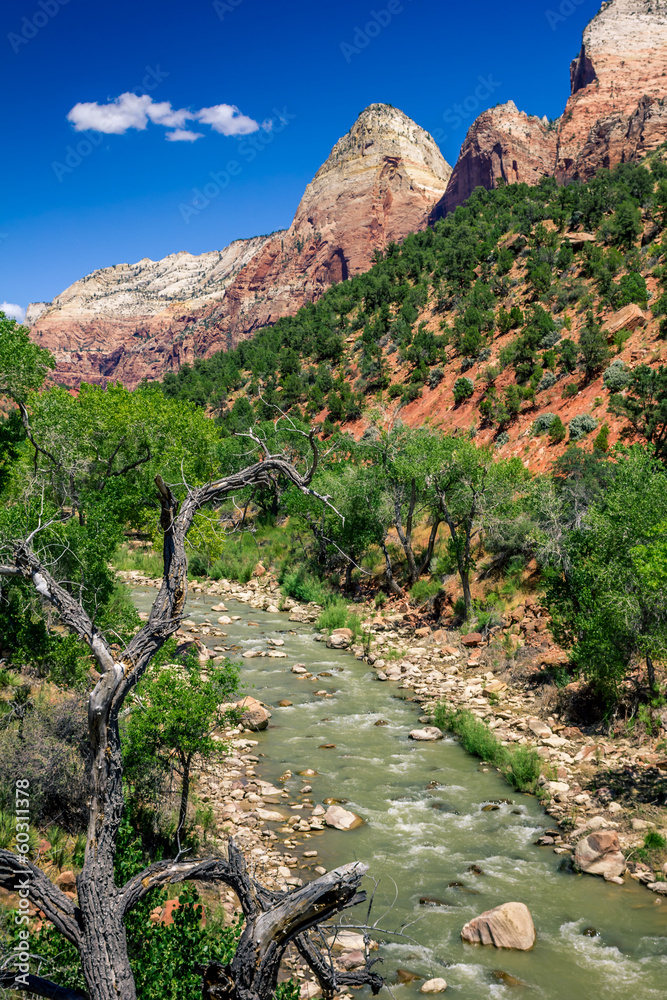 Zion Park