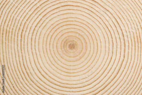 Texture circolare di legno