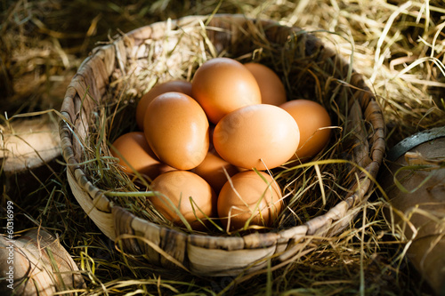 Organic brown eggs in straw