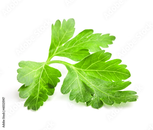 Parsley leaves isolated on white