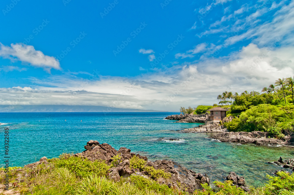 Maui's famous Kaanapali beach resort area
