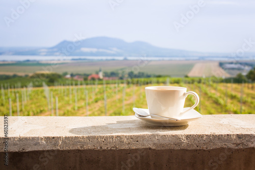 Coffee cup with a vineyard and peaceful landscape