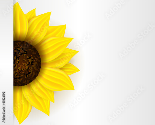 Fototapeta Naklejka Na Ścianę i Meble -  Background with sunflower