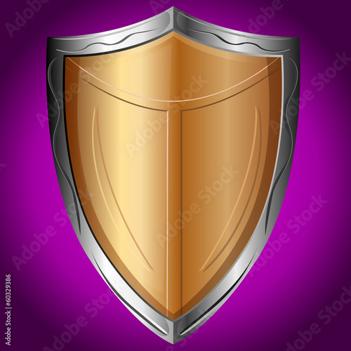 Shield, vector illustration