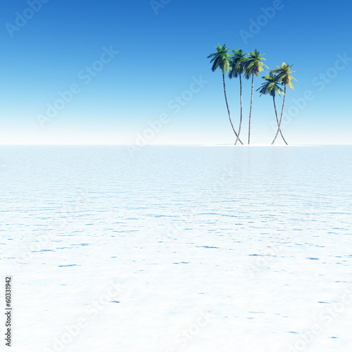 Coconut palms on small island