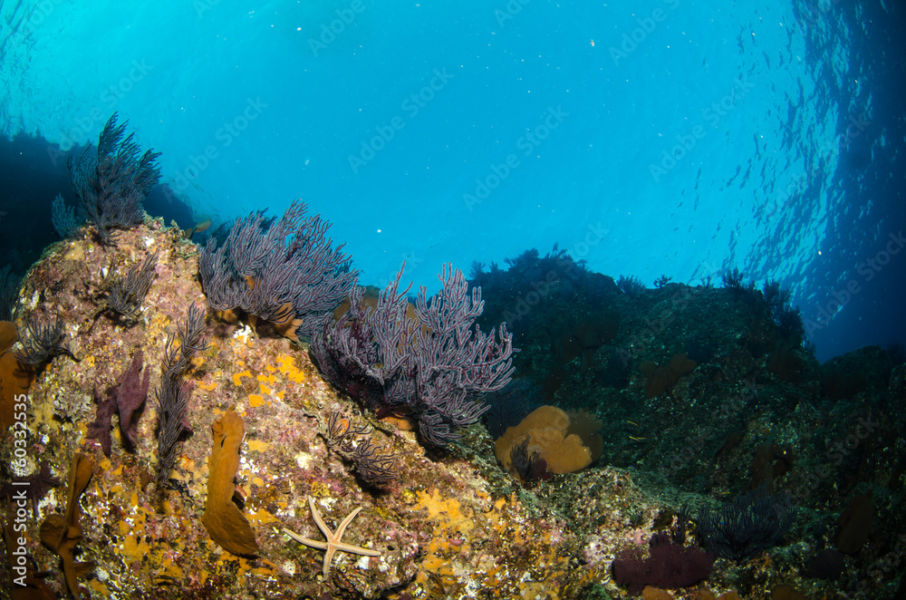 Views from pacific reefs Views from pacific reefs
