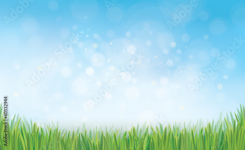 Vector nature background blue sky and green grass.