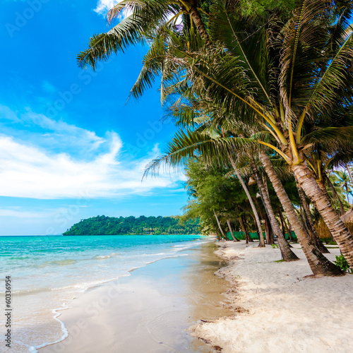 tropical beach in Thailand.