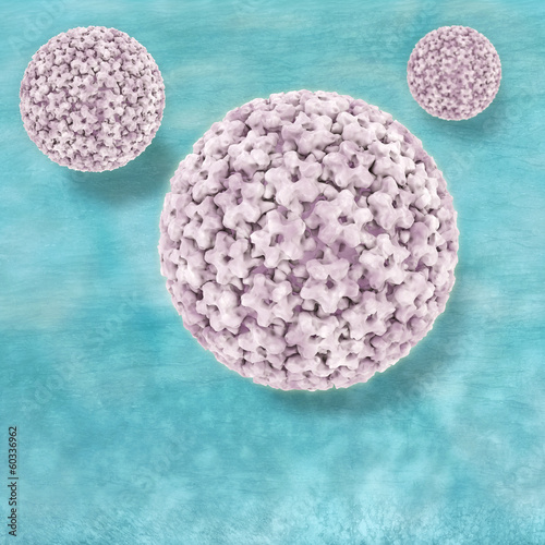 Papillomavirus - 3d Render photo