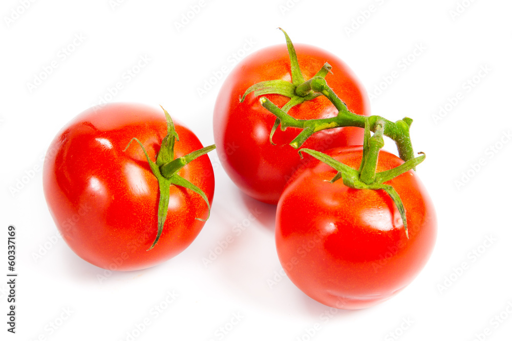 Closeup of tomatoes on the vine isolated on white. Tomato branch Closeup of tomatoes on the vine isolated on white. Tomato branch