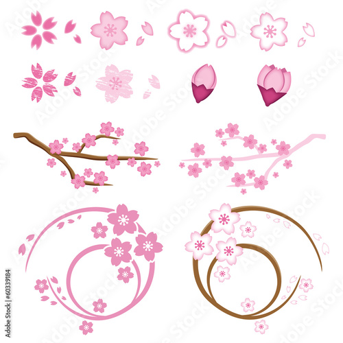 桜　素材　セット