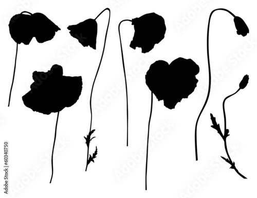 set of black poppy silhouettes isolated on white