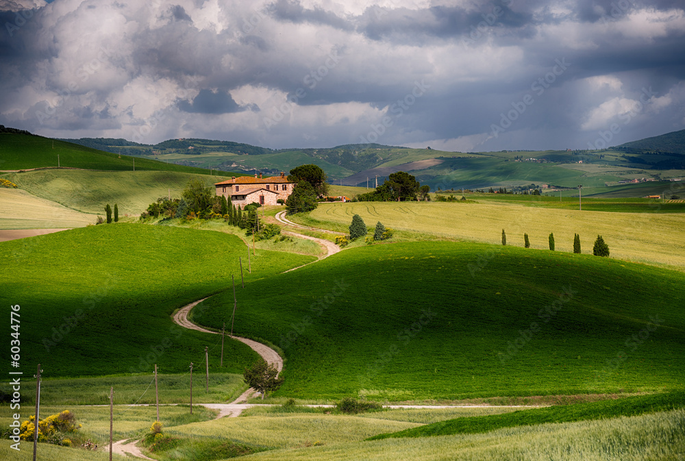 Tuscan Country