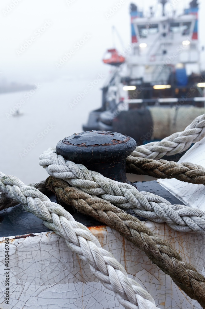 Fototapeta premium Morning In Harbor