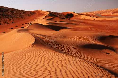 Sandy desert Wahiba in Oman, Near East photo