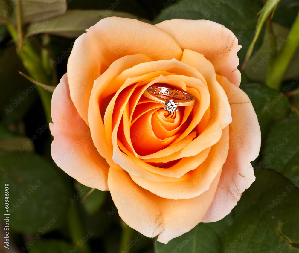 Fototapeta premium wedding ring in pink elegant rose