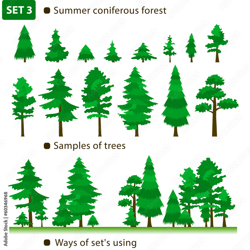 Summer coniferous forest. Set 3. - obrazy, fototapety, plakaty 