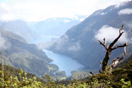 Tableau sur toile Doubtful Sound, New Zealand