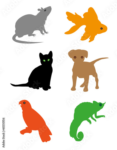 House pets