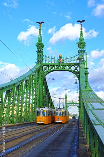 Liberty Bridge Budapest, Hungary