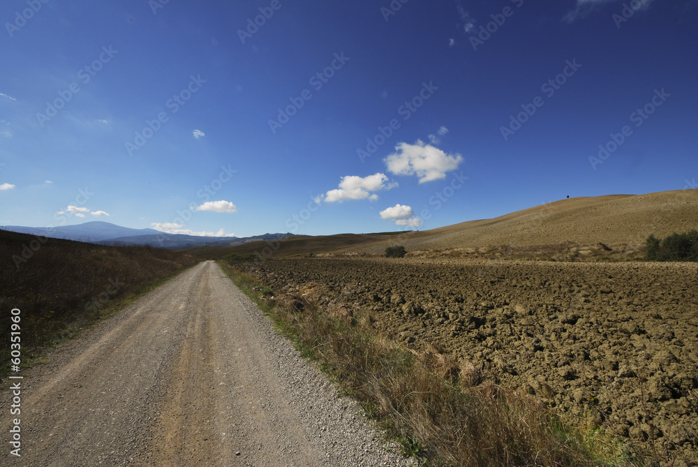 Fototapeta premium Road in Tuscan landscape