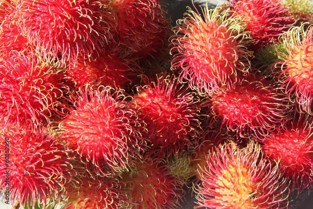 Rambutan Rambutan