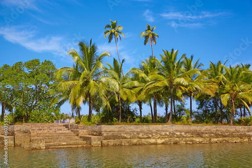 Tropical landscape with palm tree. GOA, Chapora River