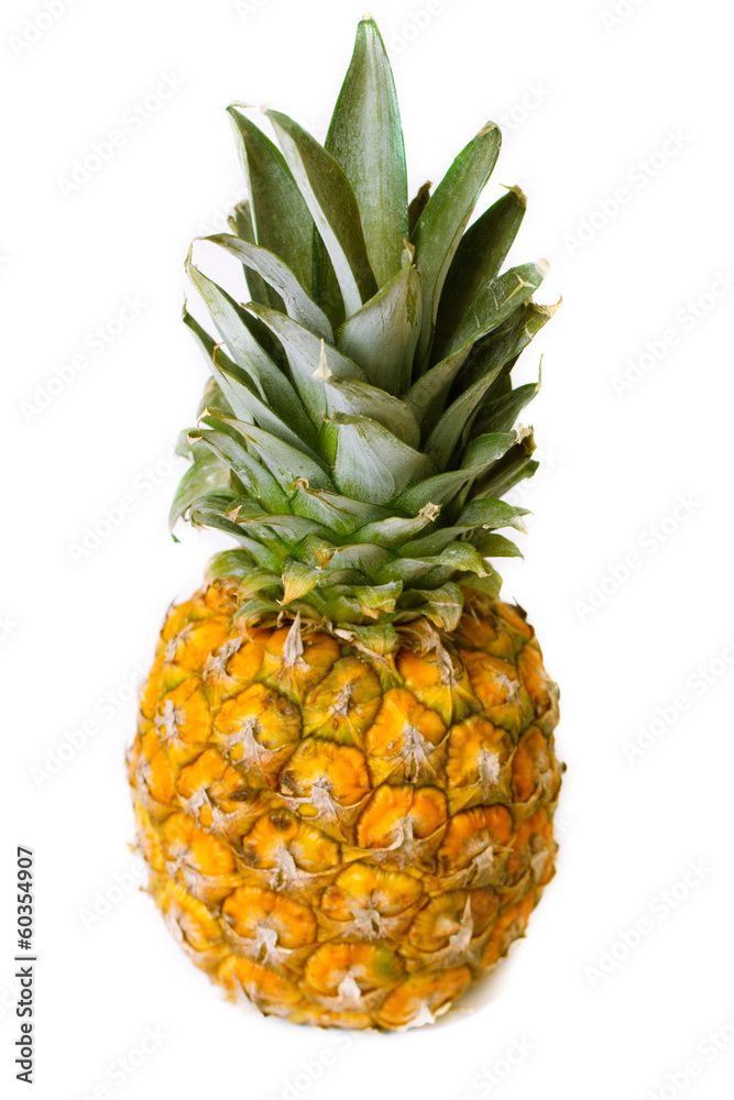 Fototapeta premium Pineapple isolated